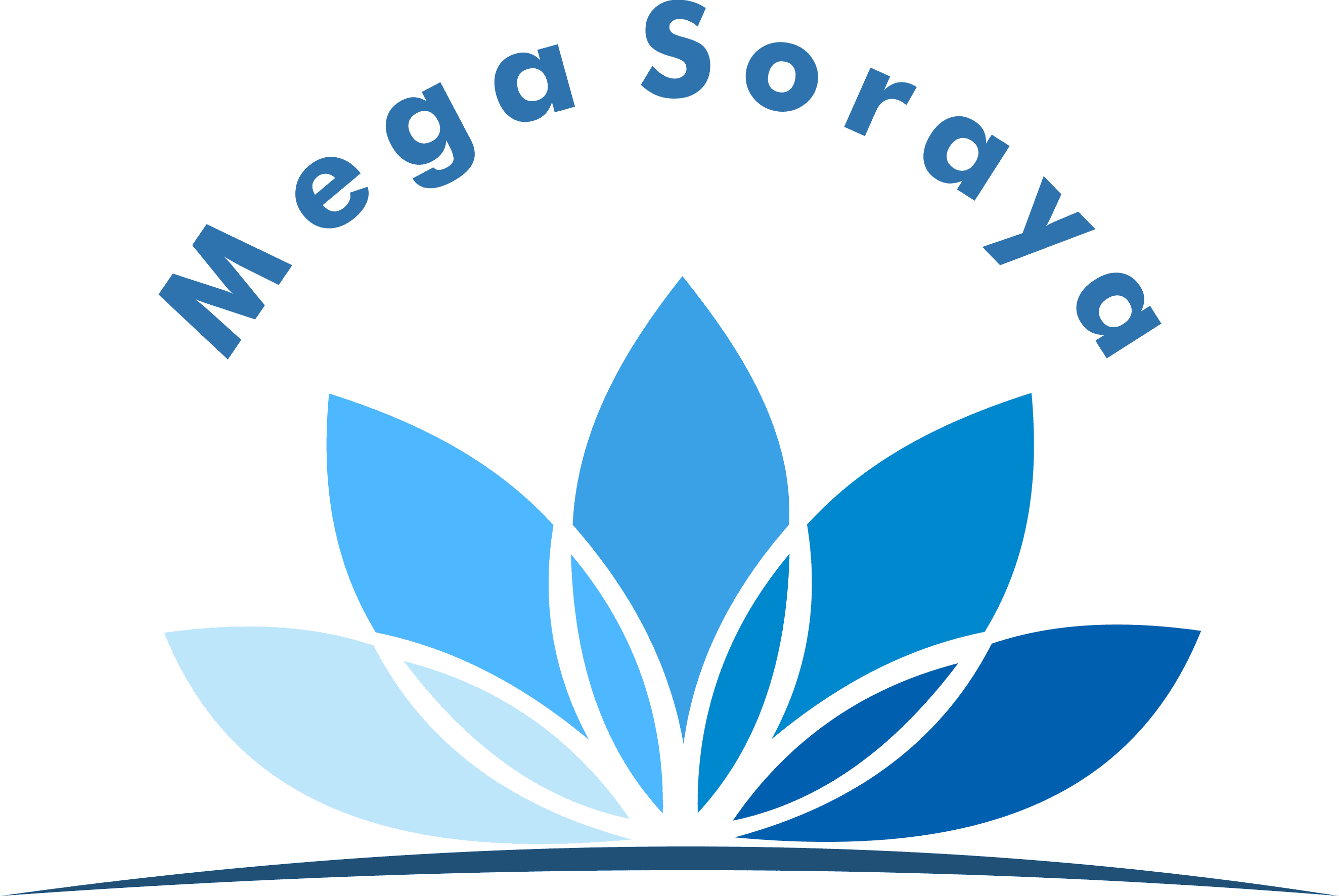 PT. Anugerah Mega Soraya